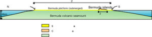 cross-section